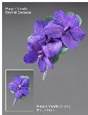 Purple Vanda Orchid Corsage